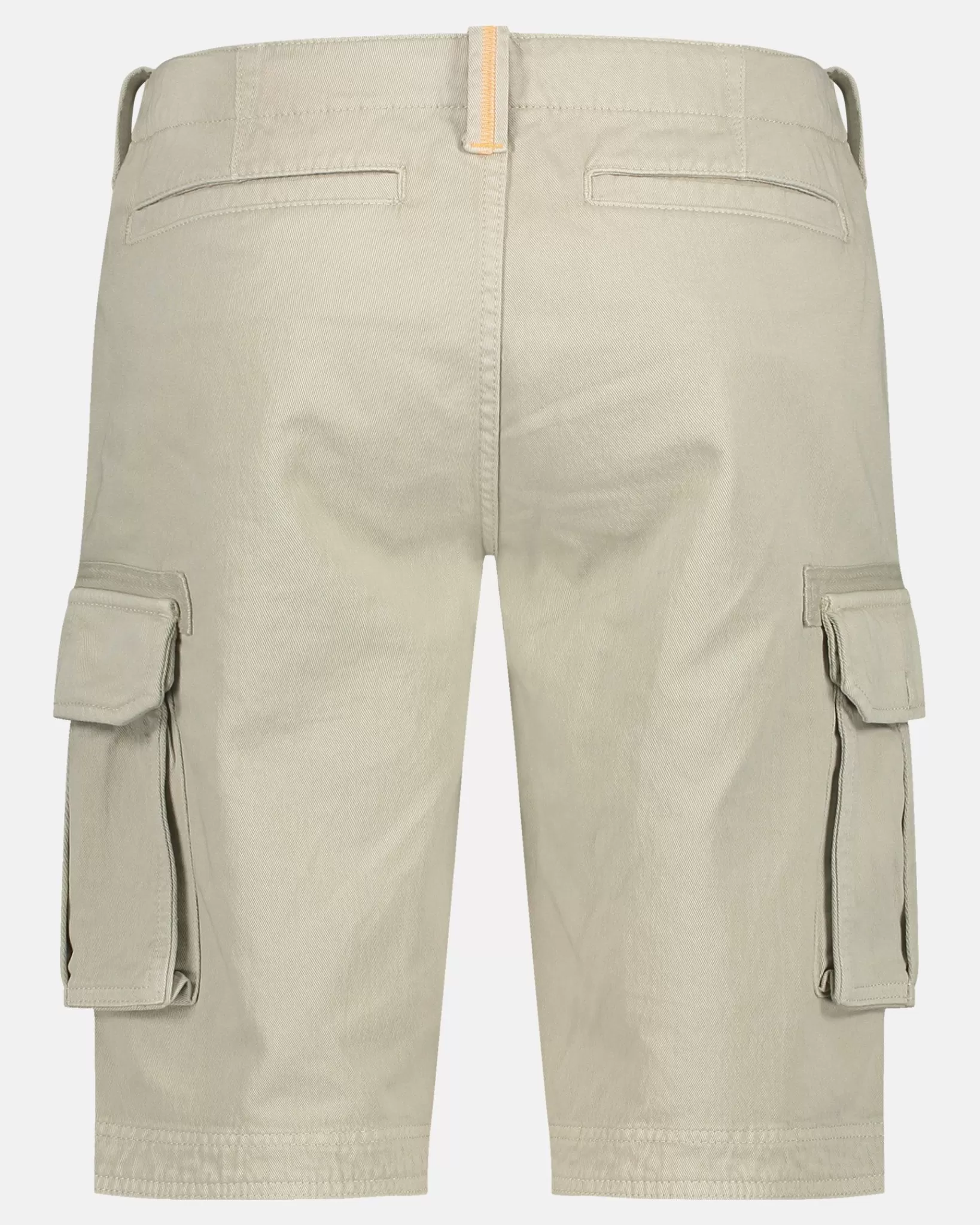 Shorts En Broeken^GAASTRA Nevelle Cargo Short